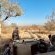 Ku Sungula Safari Lodge - 155575