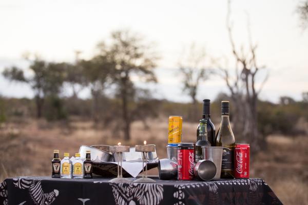 Ku Sungula Safari Lodge - 155577