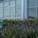 Aire del Mar Guest House - 155719