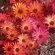 Baviana Beach Lodge - Jacobs Bay - Jacobsbaai - 155747