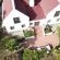Baviana Beach Lodge - Jacobs Bay - Jacobsbaai - 155760