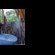 Franks Bush Camp - 156457