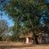 Franks Bush Camp - 156460