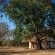 Franks Bush Camp - 156460