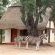 Franks Bush Camp - 156463