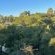 Luxury Spacious Executive Apartment - 156673