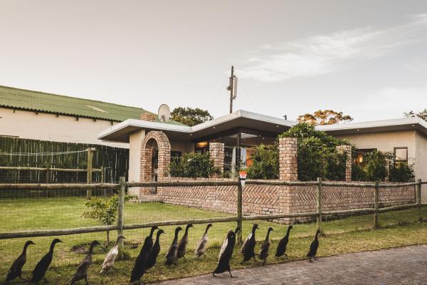 Sandpebbles Estate - 157010
