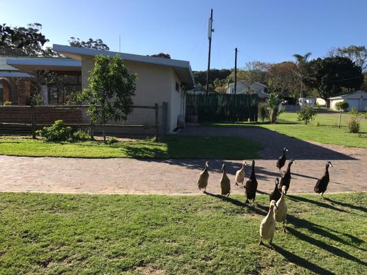 Sandpebbles Estate - 157018