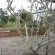 Sandpebbles Estate - 157019