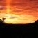 Thaba Thabo Nature Reserve - 157382