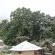 Thaba Thabo Nature Reserve - 157389