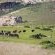 Thaba Thabo Nature Reserve - 157391