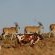 Thaba Thabo Nature Reserve - 157392