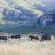 Thaba Thabo Nature Reserve - 157400