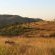 Bakubung Bush Lodge - 157498