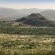 Bakubung Bush Lodge - 157502
