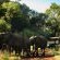 Kwa Maritane Bush Lodge - 157608