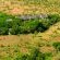 Kwa Maritane Bush Lodge - 157614