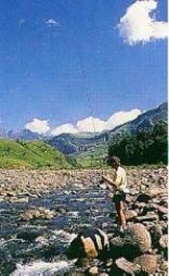 East Griqualand