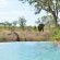 Hoyo Hoyo Safari Lodge - 157809