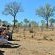 Hoyo Hoyo Safari Lodge - 157812
