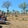 Hoyo Hoyo Safari Lodge - 157812