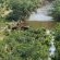Clifftop Exclusive Safari Hideaway - 157848