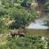 Clifftop Exclusive Safari Hideaway - 157851