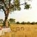 Hamiltons Tented Camp - 157884