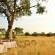 Hamiltons Tented Camp - 157884
