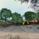 Hamiltons Tented Camp - 157888