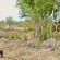 Hamiltons Tented Camp - 157892