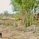 Hamiltons Tented Camp - 157892