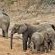 Hamiltons Tented Camp - 157903