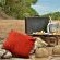 Hamiltons Tented Camp - 157905