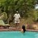Hamiltons Tented Camp - 157908