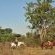Kwafubesi Tented Safari Camp - 157998
