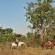 Kwafubesi Tented Safari Camp - 157998