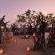 Kwafubesi Tented Safari Camp - 158004