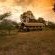 Kwafubesi Tented Safari Camp - 158009