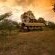 Kwafubesi Tented Safari Camp - 158009