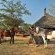 Kwafubesi Tented Safari Camp - 158010