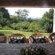Le Residence De Josephine - 158022