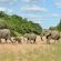 Imbali Safari Lodge - 158054