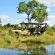 Imbali Safari Lodge - 158058