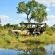 Imbali Safari Lodge - 158058