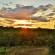 Victoria Falls Safari Club - 158229