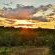 Victoria Falls Safari Club - 158229