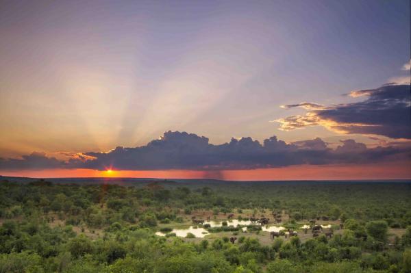 Victoria Falls Safari Lodge - 158257