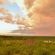 Victoria Falls Safari Lodge - 158265